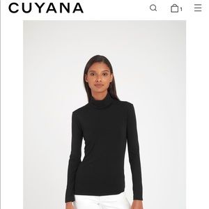 Cuyana Pima Cotton Turtleneck